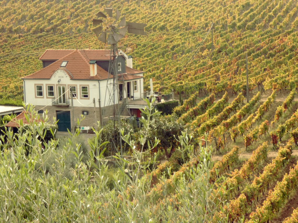 Alto Douro Winery